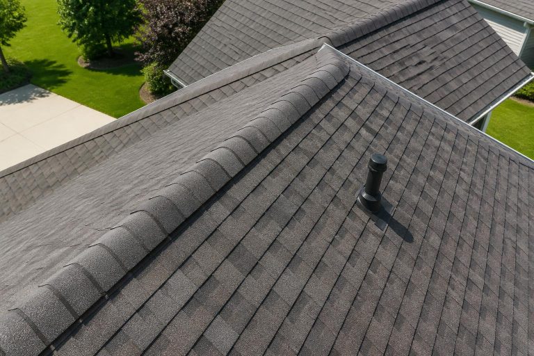 Roof Inspection